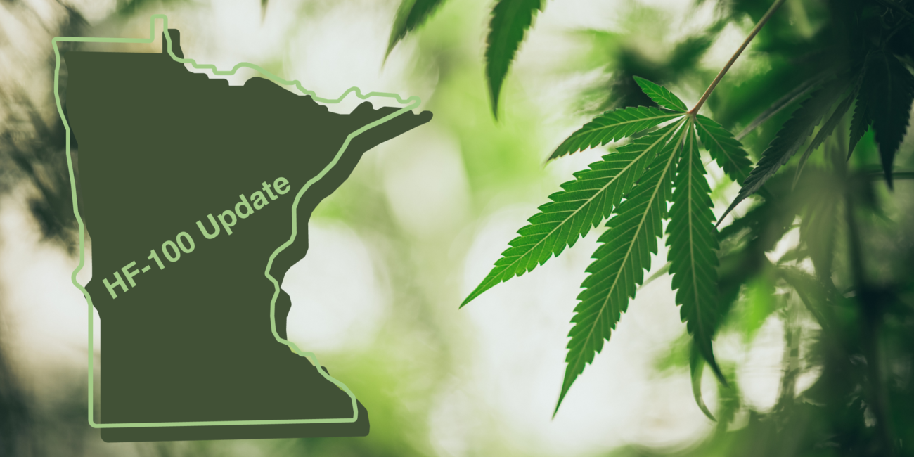 HF-100 Update, State of Minnesota with cannabis leaves in the background. The Power is Yours: What to Expect with Cannabis in Minnesota