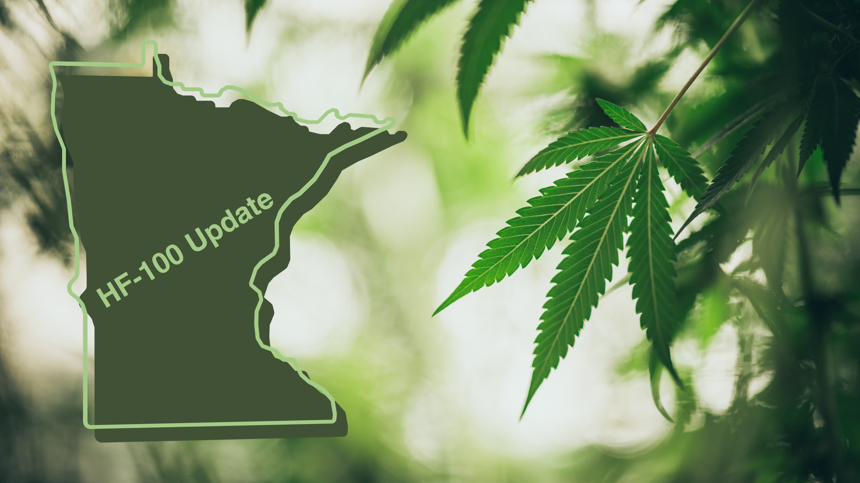 HF-100 Update, State of Minnesota with cannabis leaves in the background. The Power is Yours: What to Expect with Cannabis in Minnesota