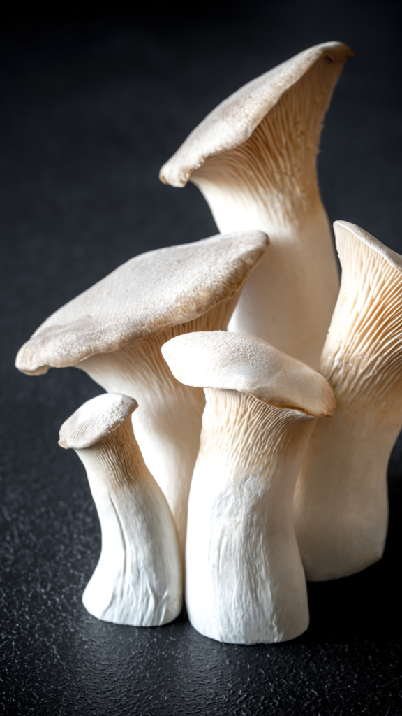 King Oyster Mushroom, King Trumpet Mushroom, King Brown Mushroom, French Horn Mushroom, Oyster Mushroom, Oyster Mushroom Recipe, mushroom recipe, how to cook an oyster mushroom, cook oyster mushroom, how to cook mushrooms, how to cook oyster mushrooms