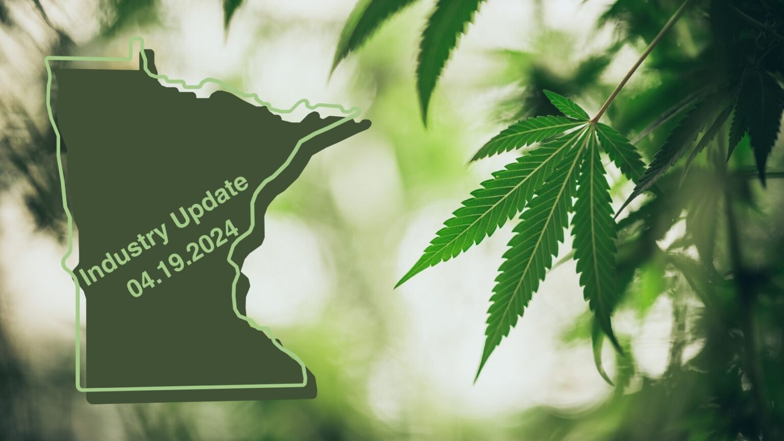 HF-100 Update, State of Minnesota with cannabis leaves in the background. The Power is Yours: What to Expect with Cannabis in Minnesota, compliance, innovation, advocacy, industry news, cannabis industry news