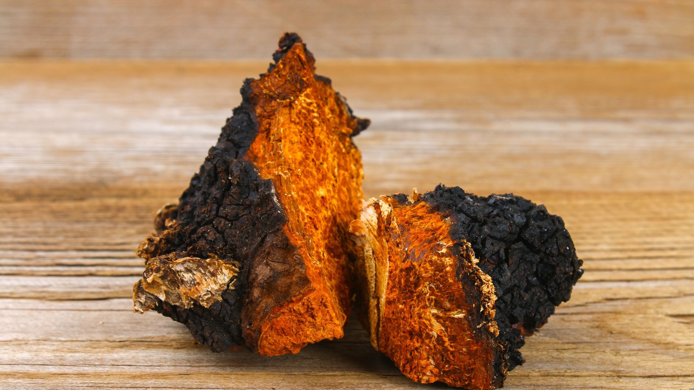 chaga, chaga mushroom, chaga mushrooms, what are chaga mushrooms, what are the benefits of chaga mushrooms, chaga, chaga tea, chaga coffee, strains of the earth chaga